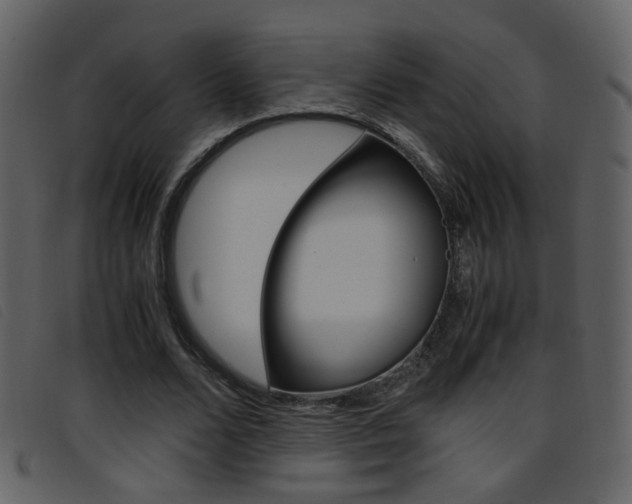 X0000096650680200802050934
