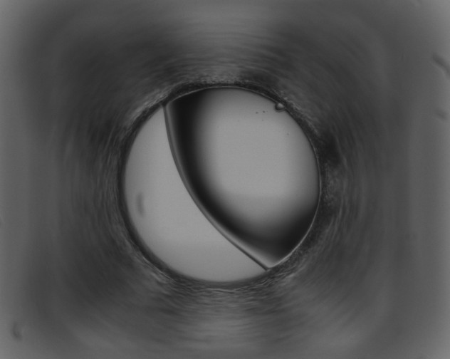 X0000096650681200802050934