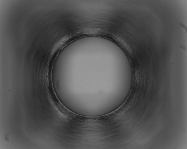 X0000096650682200802050934