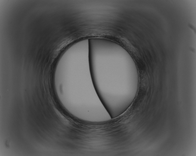 X0000096650683200802050934