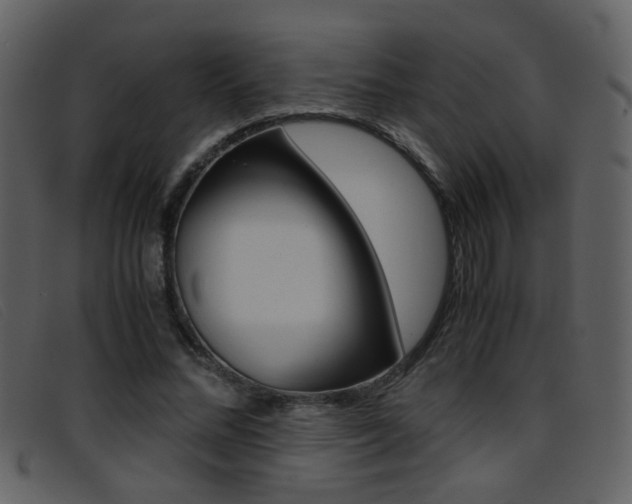 X0000096650684200802050934