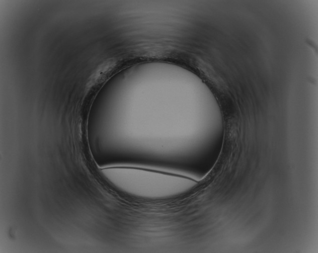 X0000096650685200802050934