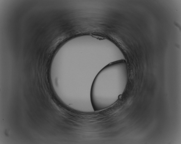 X0000096650687200802050934