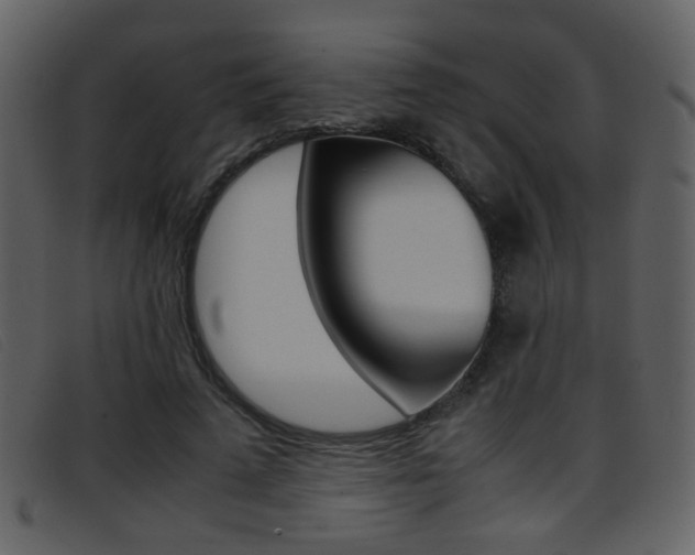 X0000096650689200802050934