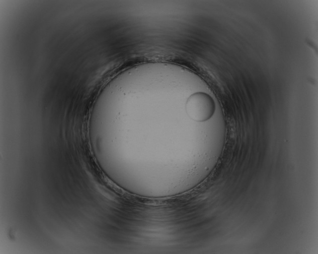 X0000096650690200802050934