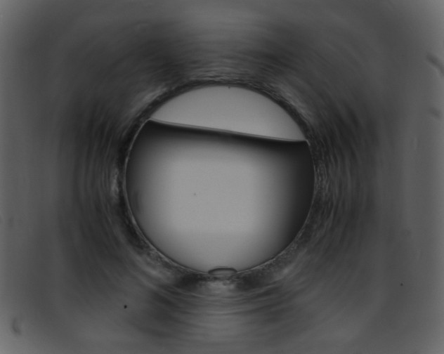 X0000096650692200802050934