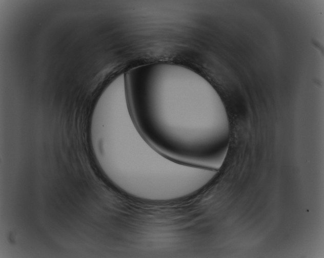 X0000096650693200802050934