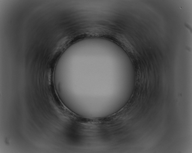 X0000096650694200802050934