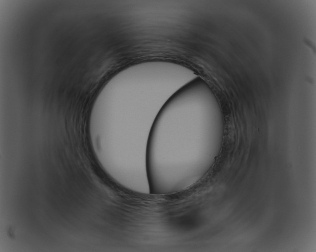 X0000096650695200802050934