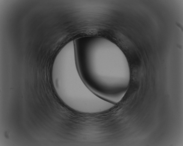 X0000096650697200802050934