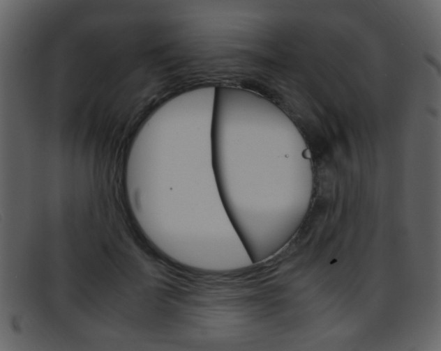 X0000096650699200802050934
