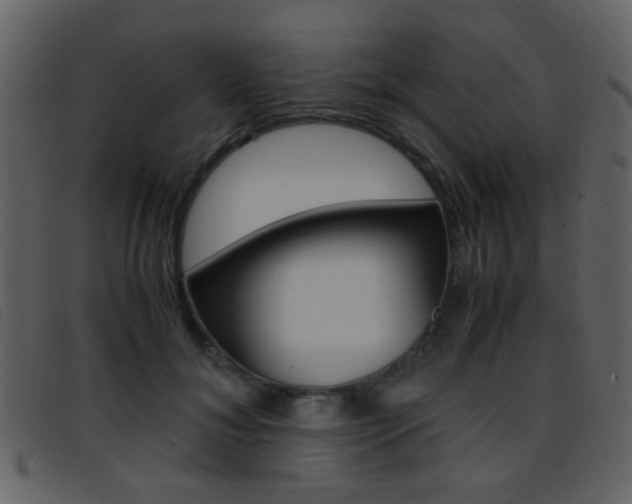 X0000096650700200802050934