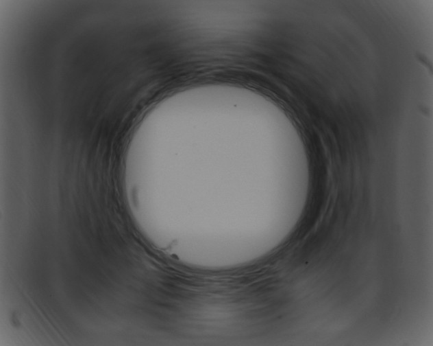 X0000096650701200802050934
