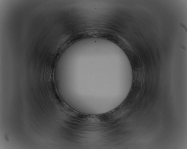 X0000096650702200802050934