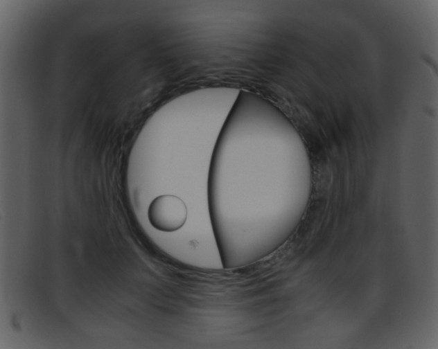 X0000096650703200802050934
