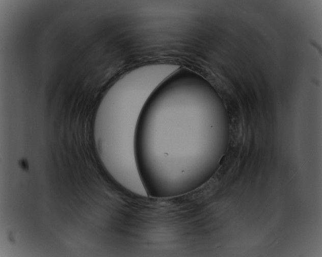 X0000096650704200802050934