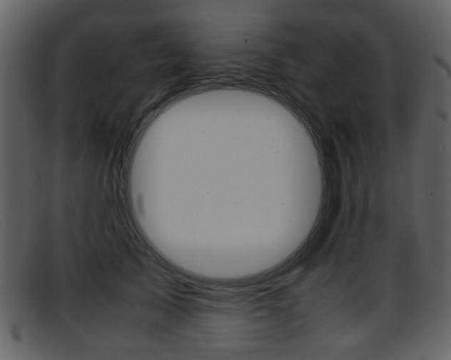 X0000096650705200802050934