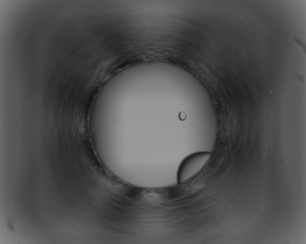 X0000096650706200802050934