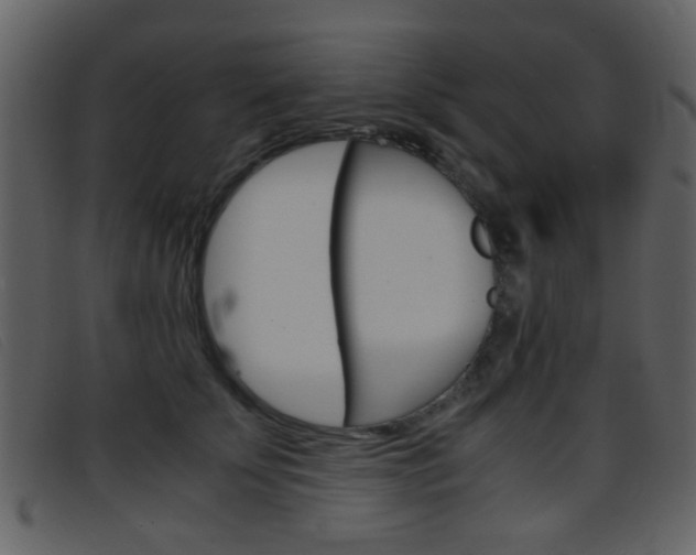 X0000096650707200802050934