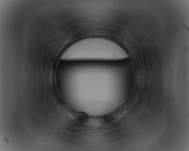 X0000096650708200802050934