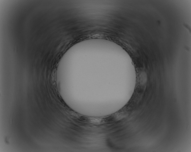 X0000096650709200802050934