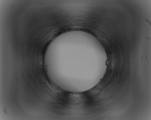 X0000096650710200802050934