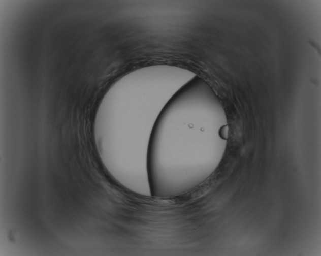 X0000096650711200802050934