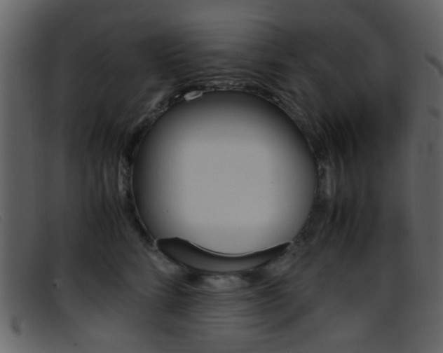 X0000096650712200802050934