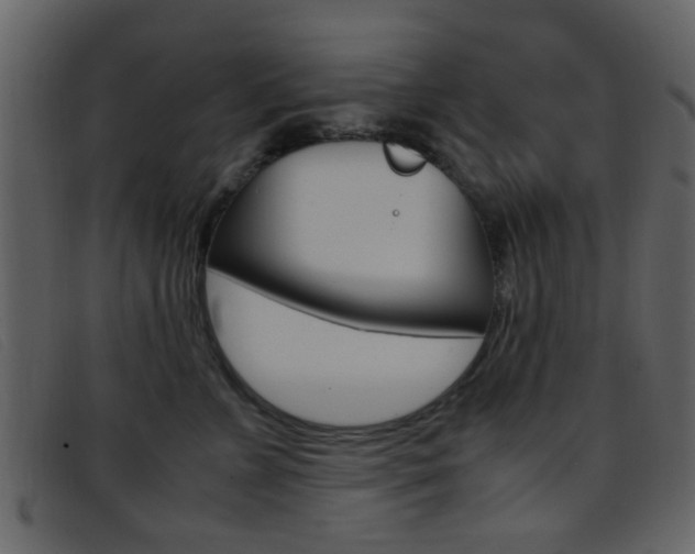 X0000096650715200802050934