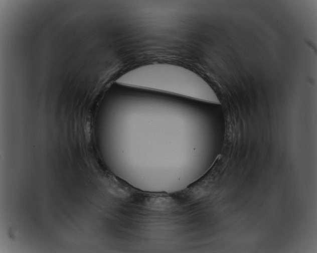 X0000096650716200802050934
