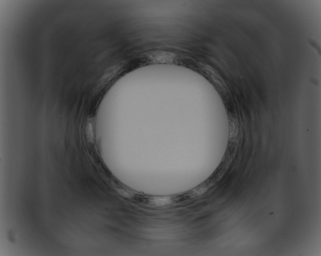 X0000096650717200802050934