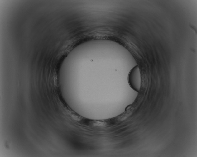 X0000096650718200802050934
