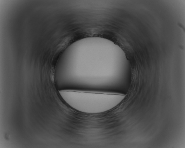 X0000096650719200802050934