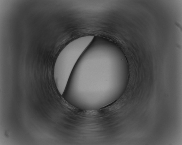 X0000096650720200802050934