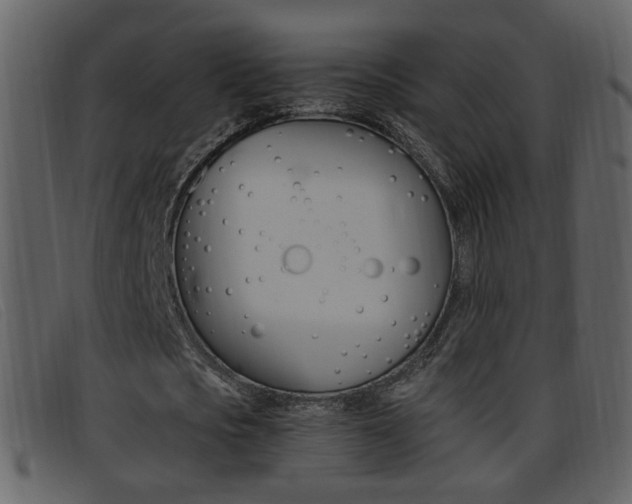 X0000096650721200802050933