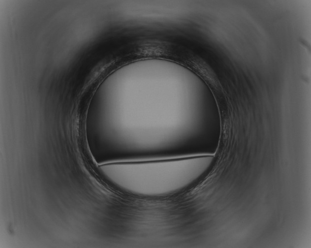 X0000096650722200802050933