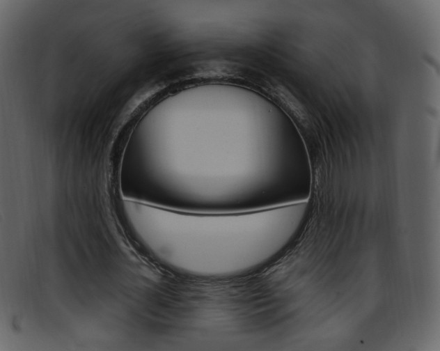 X0000096650724200802050933