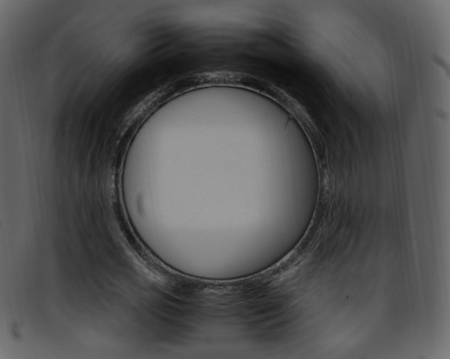X0000096650725200802050933
