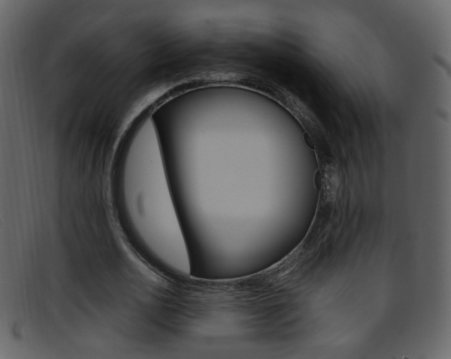 X0000096650726200802050933