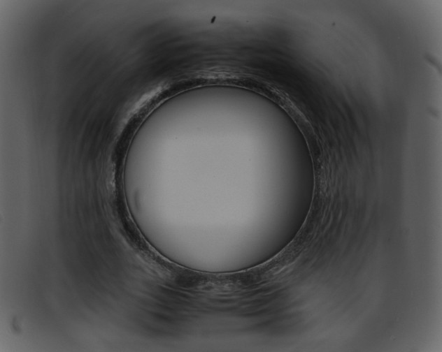 X0000096650727200802050933