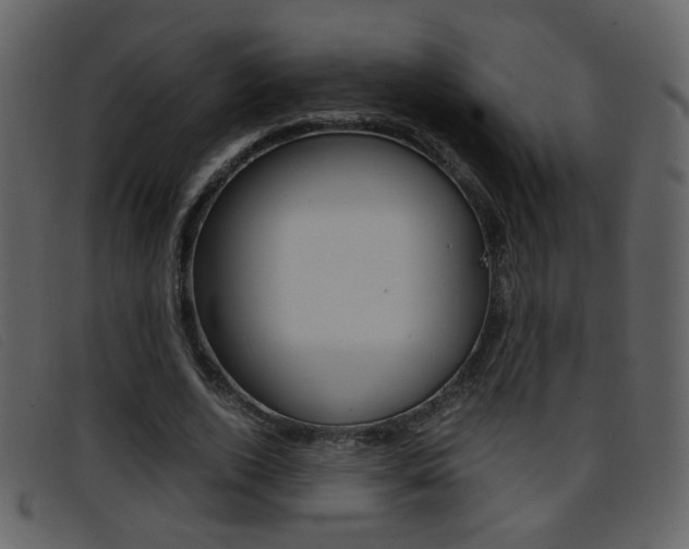 X0000096650728200802050933