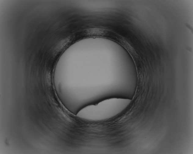X0000096650729200802050933