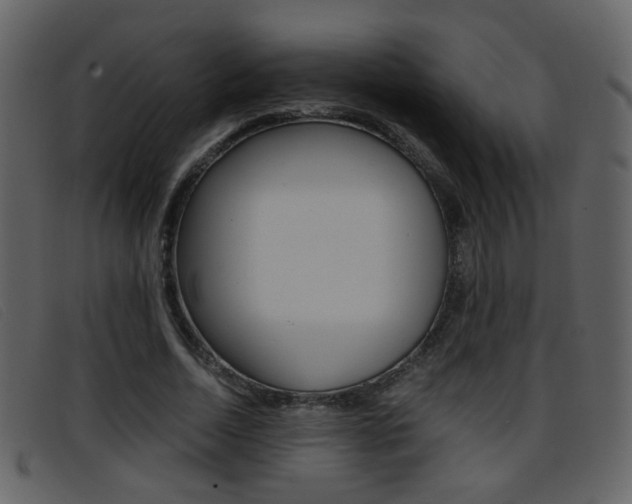 X0000096650730200802050933