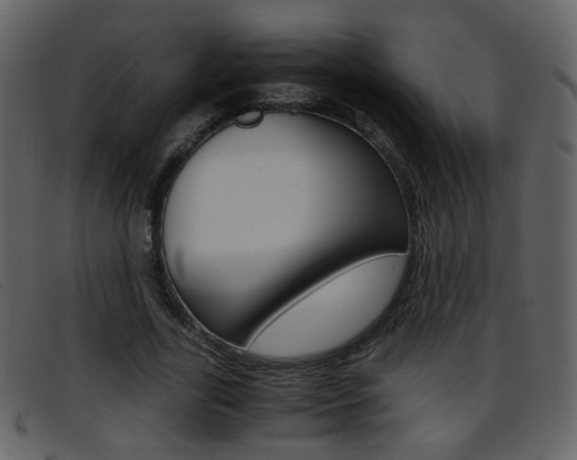 X0000096650731200802050933