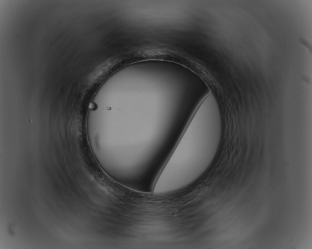 X0000096650732200802050933