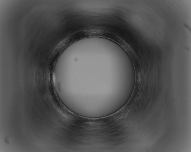 X0000096650733200802050933