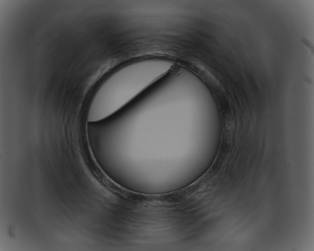 X0000096650734200802050933