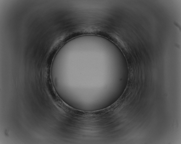 X0000096650736200802050933