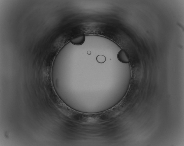 X0000096650737200802050933