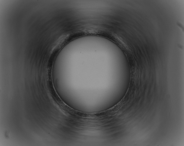 X0000096650738200802050933